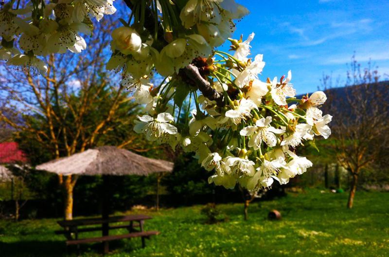 فندق Arte Y Natura Valdivielso Quintana de Valdivielso المظهر الخارجي الصورة